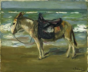 Rijdende ezel op het strand naar links